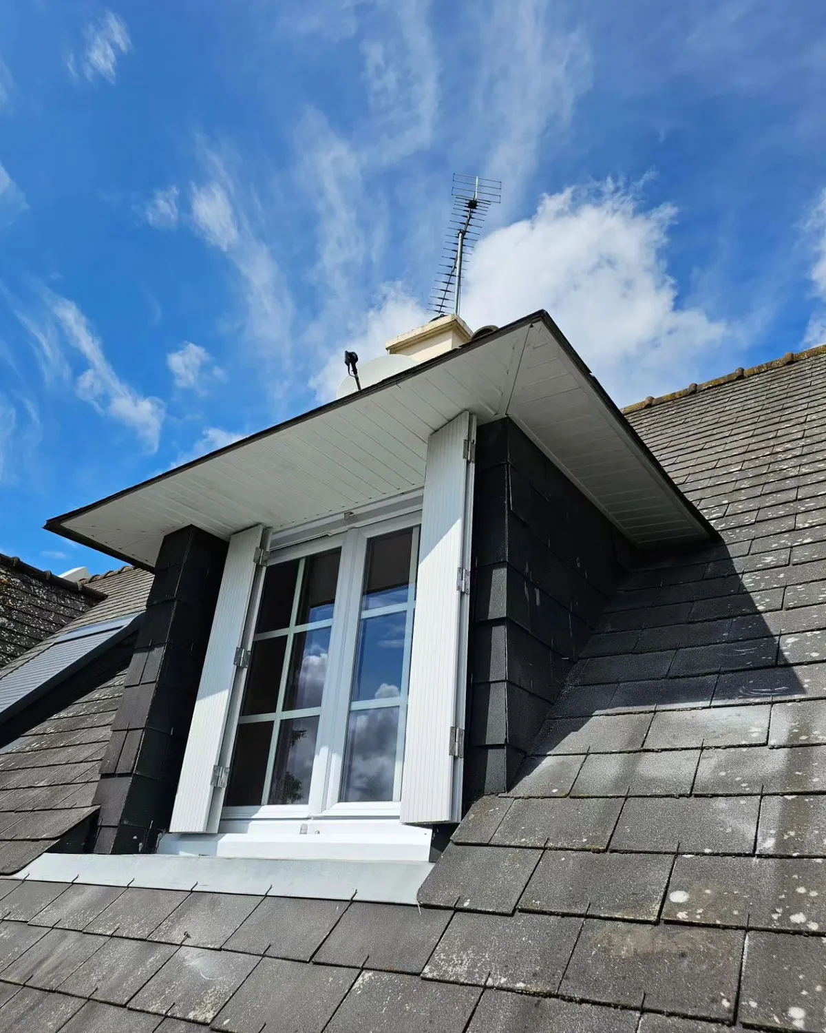 pose de velux la noe blanche